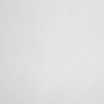 Firana Lucy 300 x 250 cm na przelotkach biała - Eurofirany
