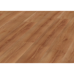 Kronopol Panele podłogowe Dąb Barakowy D3503 AC5 8mm